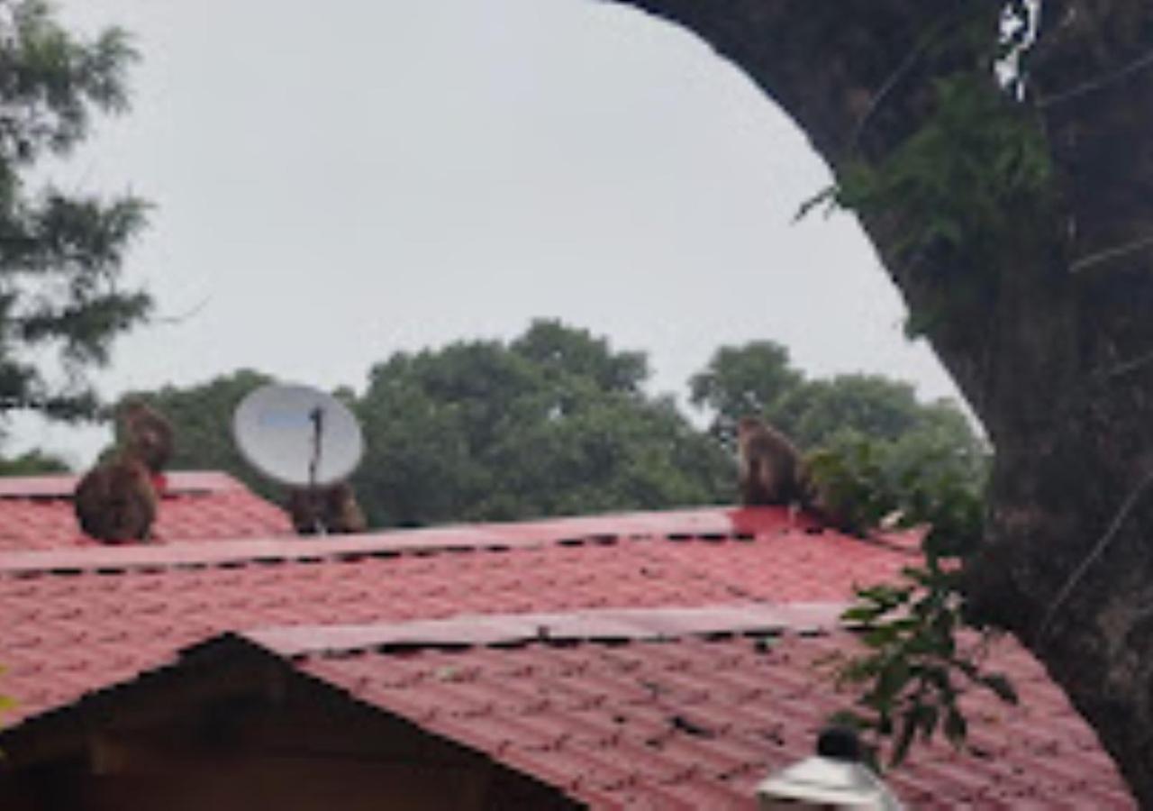 Kaas Woods Resort Yavateshwar Satara Eksteriør bilde